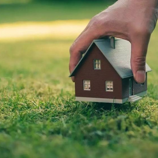 Chuyển Đổi Mục Đích Sử Dụng Đất